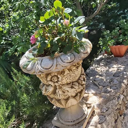 Climiti House *